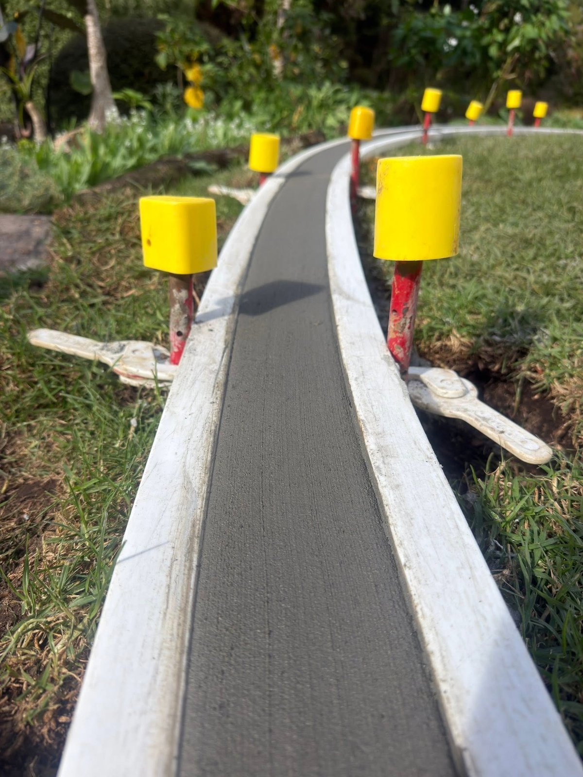 A concrete mow strip being formed along a garden, with yellow setting markers down the line