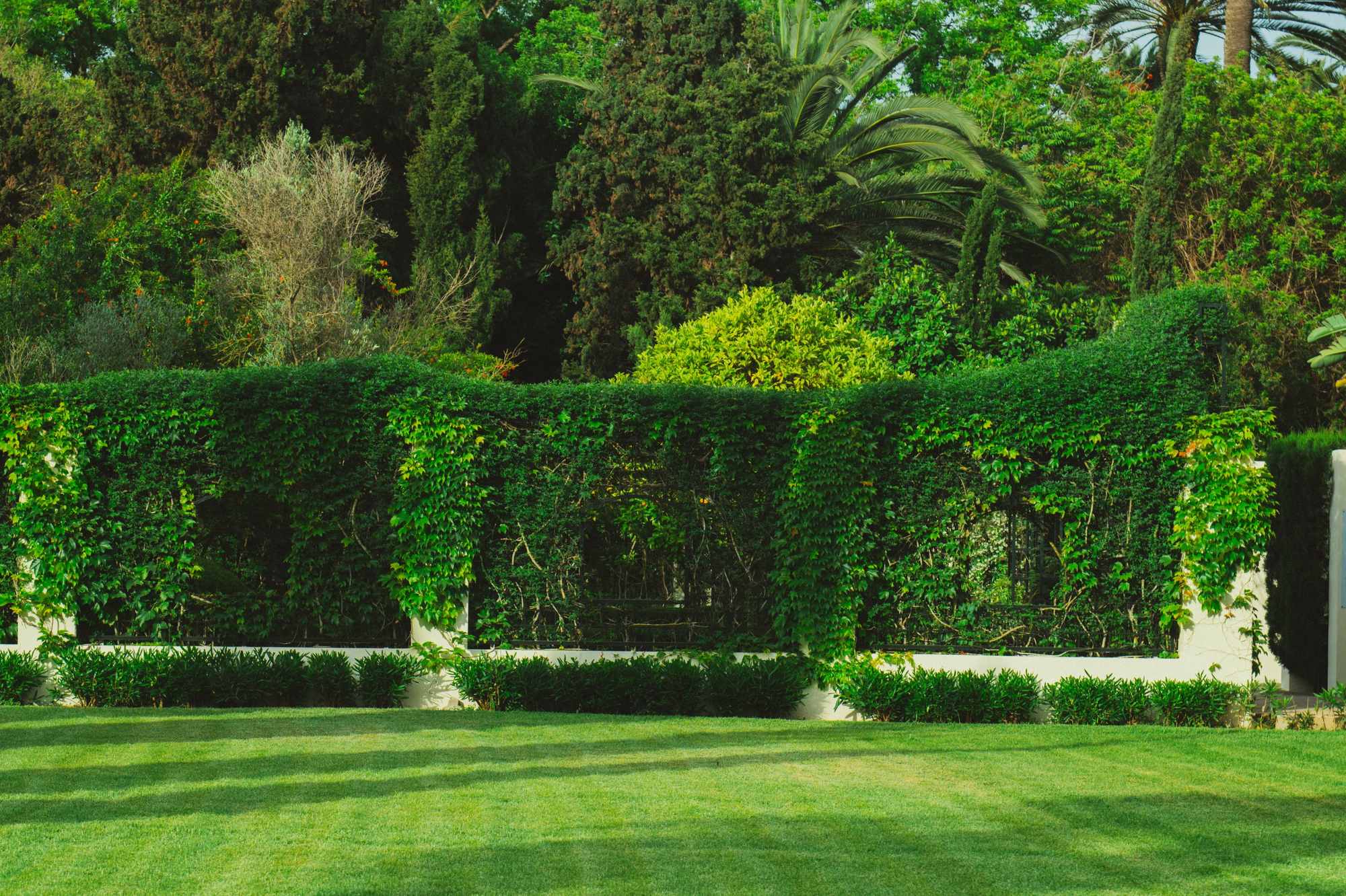 A lush landscaped garden with a manicured lawn meeting a deep planted border