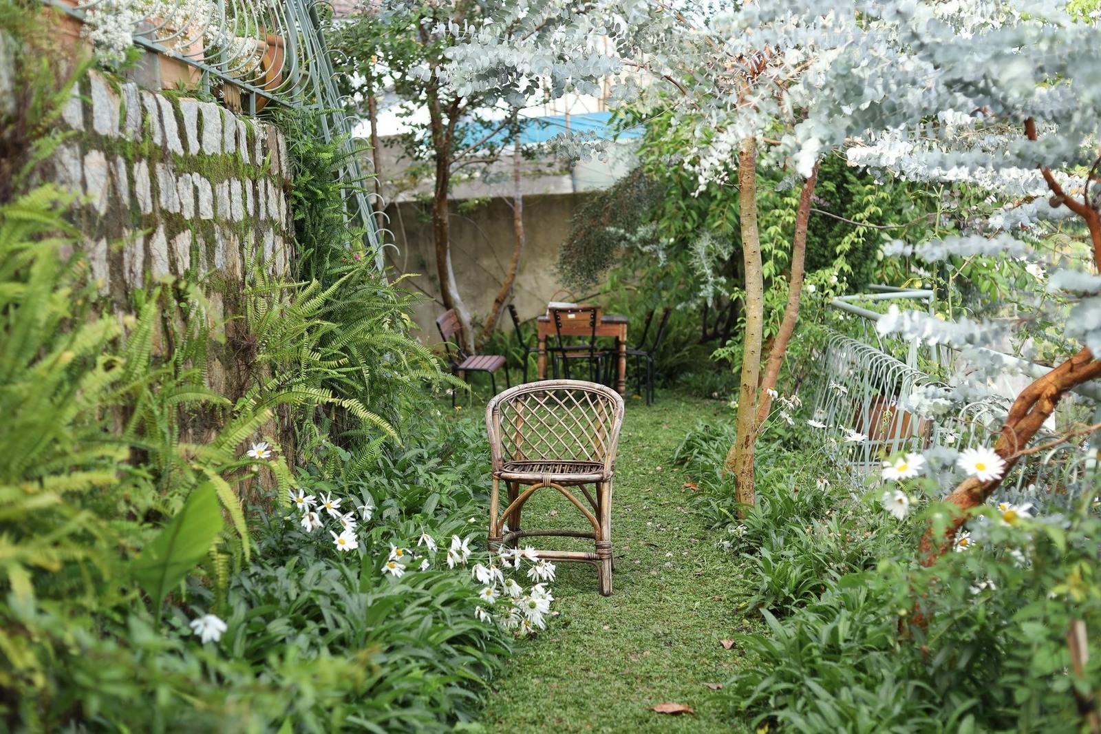 A planted garden bed with flowering shrubs and groundcover